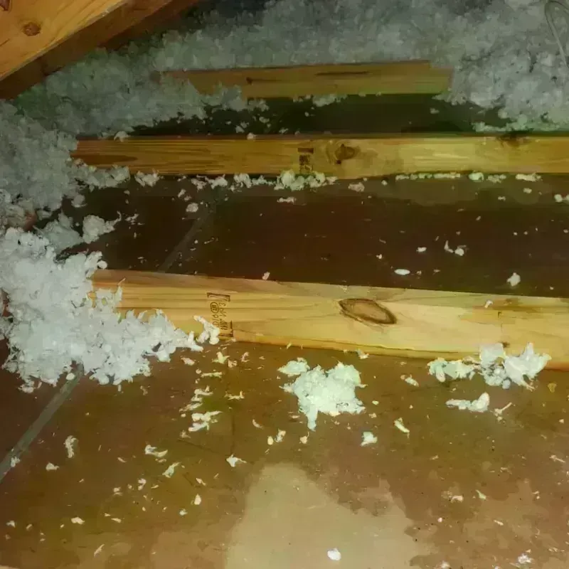 Attic Water Damage in Inwood, FL