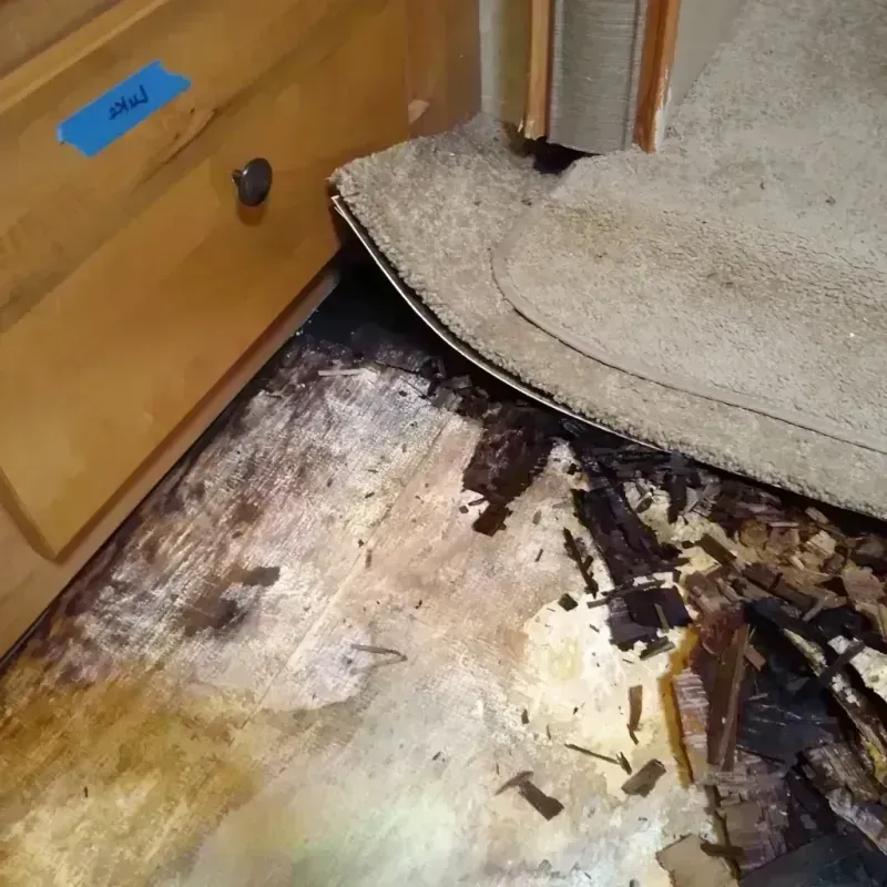 Wood Floor Water Damage in Inwood, FL